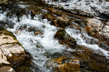 Transilvanya, Trascau dağları, Alba ilçesi, Romanya 'dan Ramet geçitleri