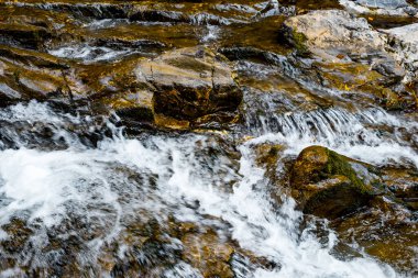 Transilvanya, Trascau dağları, Alba ilçesi, Romanya 'dan Ramet geçitleri