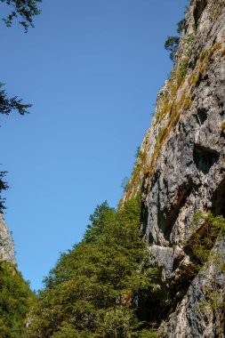 Transilvanya, Trascau dağları, Alba ilçesi, Romanya 'dan Ramet geçitleri