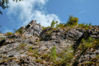 Transilvanya, Trascau dağları, Alba ilçesi, Romanya 'dan Ramet geçitleri