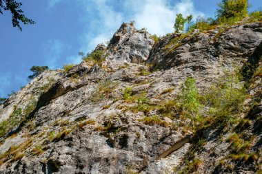 Transilvanya, Trascau dağları, Alba ilçesi, Romanya 'dan Ramet geçitleri