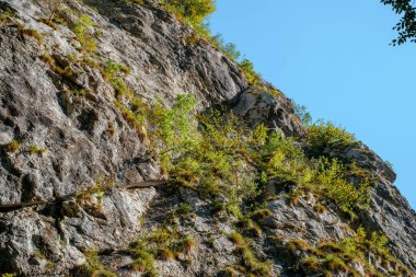 Transilvanya, Trascau dağları, Alba ilçesi, Romanya 'dan Ramet geçitleri