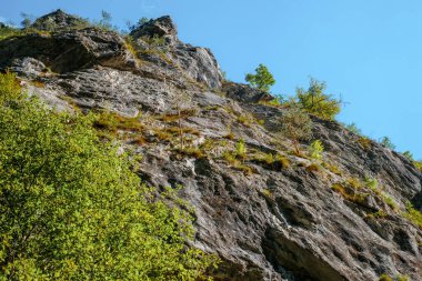 Transilvanya, Trascau dağları, Alba ilçesi, Romanya 'dan Ramet geçitleri