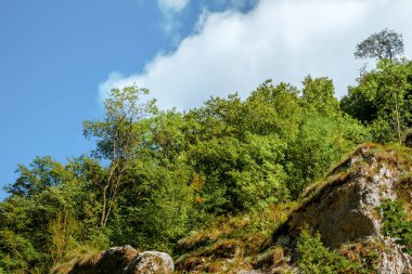 Transilvanya, Trascau dağları, Alba ilçesi, Romanya 'dan Ramet geçitleri