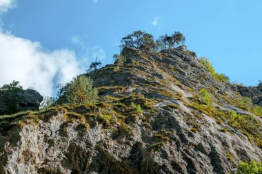 Transilvanya, Trascau dağları, Alba ilçesi, Romanya 'dan Ramet geçitleri