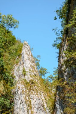 Transilvanya, Trascau dağları, Alba ilçesi, Romanya 'dan Ramet geçitleri