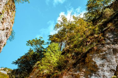 Transilvanya, Trascau dağları, Alba ilçesi, Romanya 'dan Ramet geçitleri