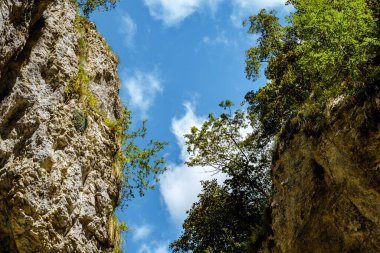 Transilvanya, Trascau dağları, Alba ilçesi, Romanya 'dan Ramet geçitleri