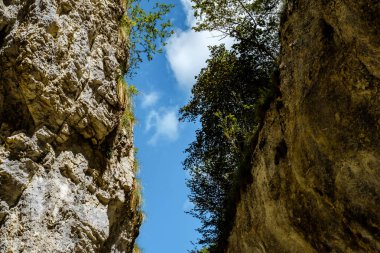Transilvanya, Trascau dağları, Alba ilçesi, Romanya 'dan Ramet geçitleri