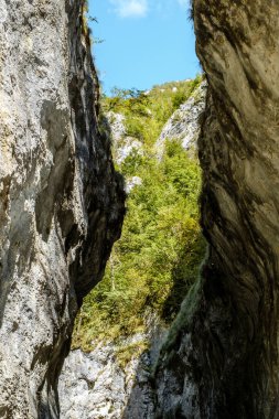 Transilvanya, Trascau dağları, Alba ilçesi, Romanya 'dan Ramet geçitleri