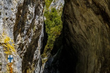 Transilvanya, Trascau dağları, Alba ilçesi, Romanya 'dan Ramet geçitleri