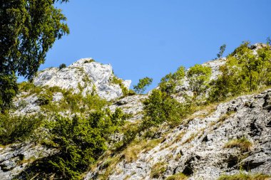 Transilvanya, Trascau dağları, Alba ilçesi, Romanya 'dan Ramet geçitleri