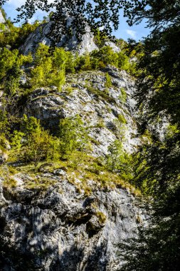 Transilvanya, Trascau dağları, Alba ilçesi, Romanya 'dan Ramet geçitleri