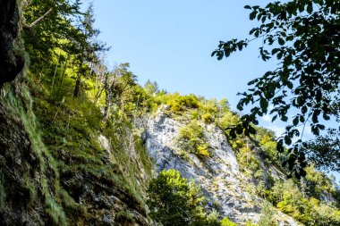 Transilvanya, Trascau dağları, Alba ilçesi, Romanya 'dan Ramet geçitleri