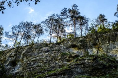 Transilvanya, Trascau dağları, Alba ilçesi, Romanya 'dan Ramet geçitleri