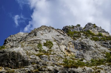 Transilvanya, Trascau dağları, Alba ilçesi, Romanya 'dan Ramet geçitleri