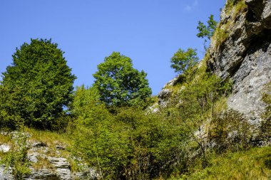 Transilvanya, Trascau dağları, Alba ilçesi, Romanya 'dan Ramet geçitleri