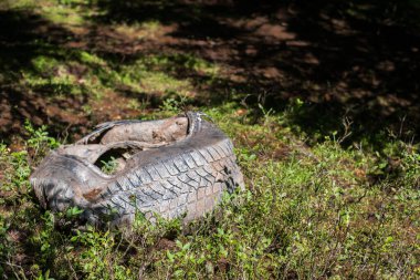 Kullanılmış araba lastikleri ormanı kirletiyor.