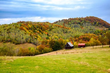 Romanya Karpatlar, Fantanele köyü, Sibiu ilçesi, Cindrel dağları, 1100 metre, Romanya 'da sonbahar manzarası