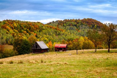 Romanya Karpatlar, Fantanele köyü, Sibiu ilçesi, Cindrel dağları, 1100 metre, Romanya 'da sonbahar manzarası