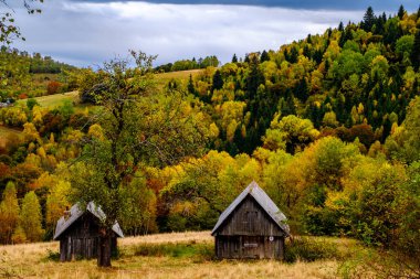 Romanya Karpatlar, Fantanele köyü, Sibiu ilçesi, Cindrel dağları, 1100 metre, Romanya 'da sonbahar manzarası