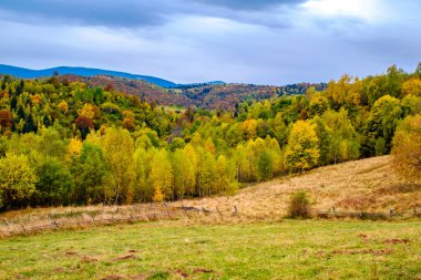 Romanya Karpatlar, Fantanele köyü, Sibiu ilçesi, Cindrel dağları, 1100 metre, Romanya 'da sonbahar manzarası