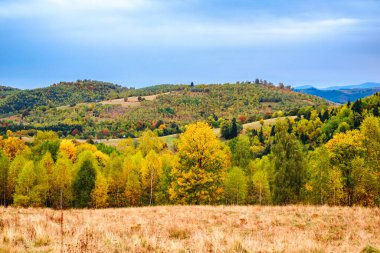 Romanya Karpatlar, Fantanele köyü, Sibiu ilçesi, Cindrel dağları, 1100 metre, Romanya 'da sonbahar manzarası