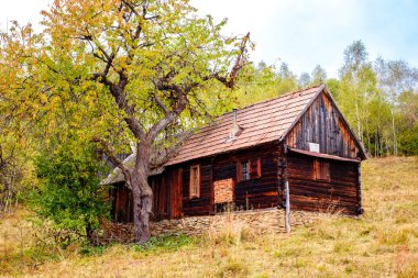 Romanya Karpatlar, Fantanele köyü, Sibiu ilçesi, Cindrel dağları, 1100 metre, Romanya 'da sonbahar manzarası