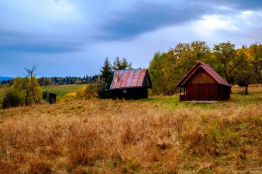 Romanya Karpatlar, Fantanele köyü, Sibiu ilçesi, Cindrel dağları, 1100 metre, Romanya 'da sonbahar manzarası