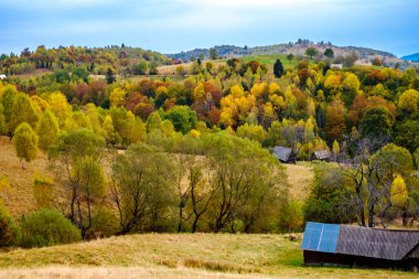 Romanya Karpatlar, Fantanele köyü, Sibiu ilçesi, Cindrel dağları, 1100 metre, Romanya 'da sonbahar manzarası