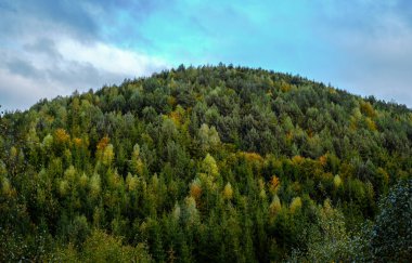 Tepelerde sonbahar renkleri