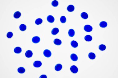 Beyaz arkaplanda mavi cam taşlar