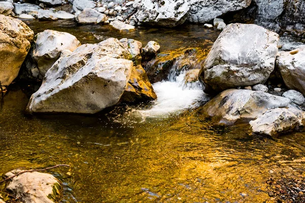 Ramet Kloven Uit Transsylvanië Trascau Bergen Provincie Alba Roemenië — Stockfoto