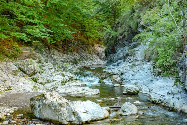 Ramet Gorges Transilvânia Montanhas Trascau Alba County Roménia — Fotografia de Stock