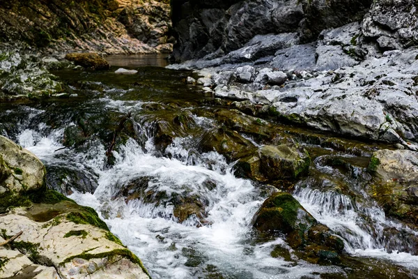 Ramet Kloven Uit Transsylvanië Trascau Bergen Provincie Alba Roemenië — Stockfoto