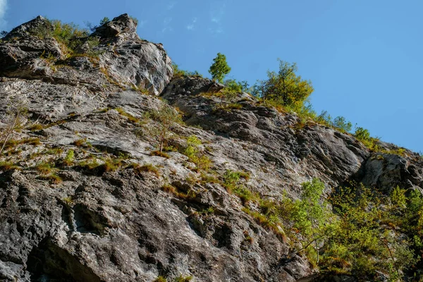 Ущелья Рамет Трансильвании Горы Траско Округ Альба Румыния — стоковое фото