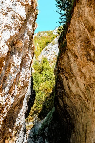 ルーマニアのアルバ郡トラスカウ山からのラメット峡谷 — ストック写真