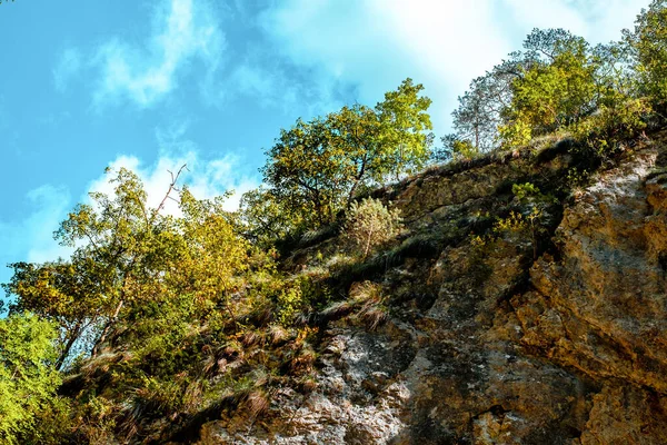 Ramet Soutěsky Transylvánie Trascau Hory Alba Kraj Rumunsko — Stock fotografie