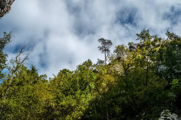 Ramet Soutěsky Transylvánie Trascau Hory Alba Kraj Rumunsko — Stock fotografie