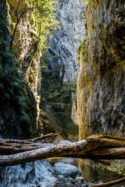 Ramet Gorges Transylvania Trascau Mountains Alba County Romania — Stock Photo, Image