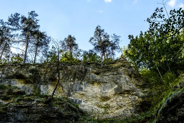 Ramet Gorges Transilvânia Montanhas Trascau Alba County Roménia — Fotografia de Stock