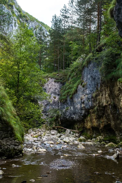 Ramet Raviner Från Transsylvanien Trascau Bergen Alba Län Rumänien — Stockfoto