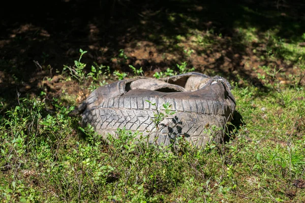 Rubber Used Car Thrown Polluting Forest — Stock Photo, Image