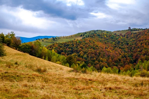 Barevná Podzimní Krajina Rumunských Karpat Fantanele Vesnice Sibiu Kraj Popeláč — Stock fotografie