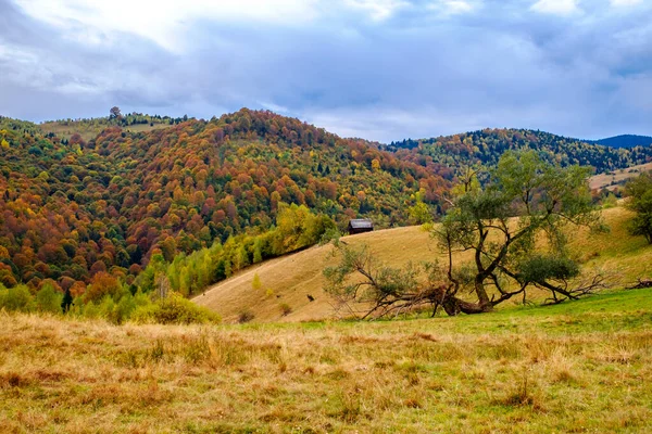 Barevná Podzimní Krajina Rumunských Karpat Fantanele Vesnice Sibiu Kraj Popeláč — Stock fotografie