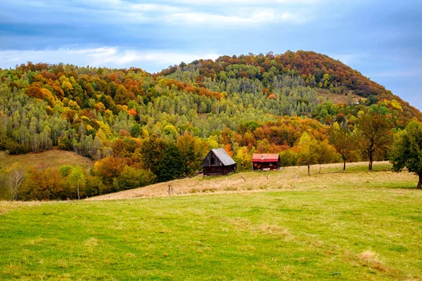 Kolorowy Jesienny Krajobraz Karpatach Rumuńskich Wieś Fantanele Powiat Sibiu Góry — Zdjęcie stockowe