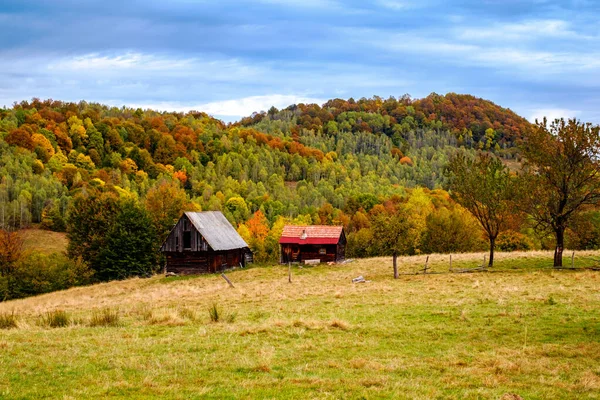 Colorido Paisaje Otoñal Los Cárpatos Rumanos Pueblo Fantanele Condado Sibiu — Foto de Stock