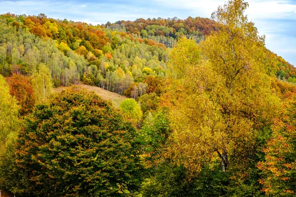 Kleurrijk Herfstlandschap Roemeense Karpaten Fantanele Dorp Sibiu Provincie Cindrel Bergen — Stockfoto