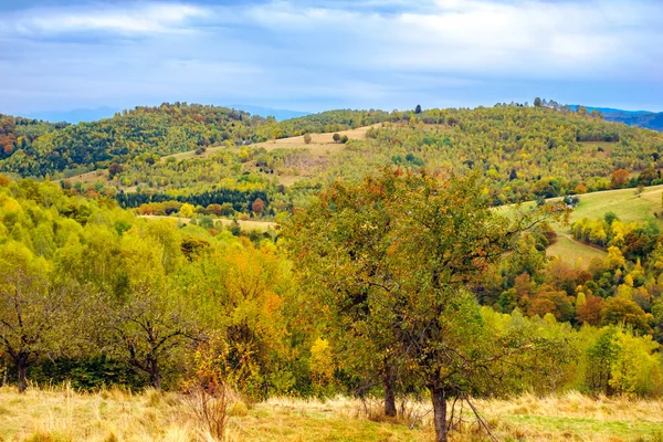 Färgglada Höstlandskap Den Rumänska Karpaterna Fantanele Byn Sibiu Län Cindrel — Stockfoto