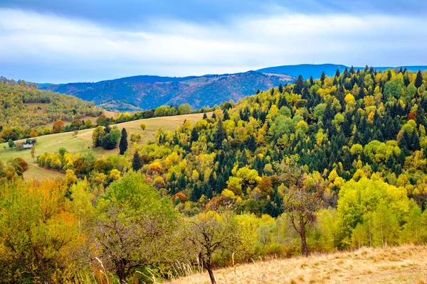 Paesaggio Autunnale Colorato Nei Carpazi Rumeni Villaggio Fantanele Contea Sibiu — Foto Stock